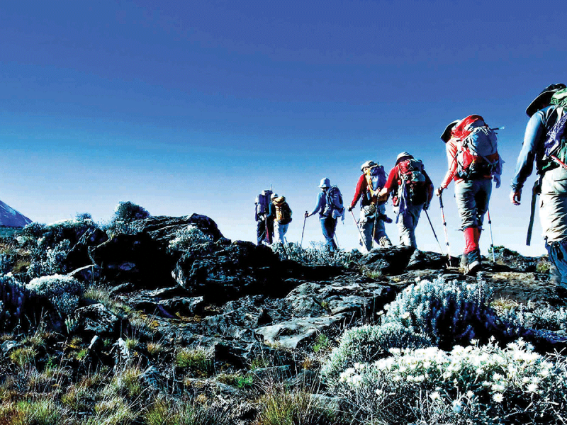 Guided Mount Kilimanjaro expedition tour in Tanzania