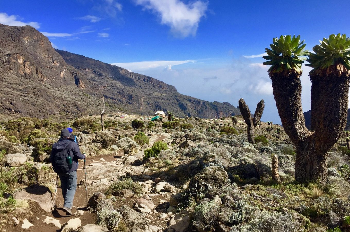 6-Day Mount Kilimanjaro Machame Route climbing package
