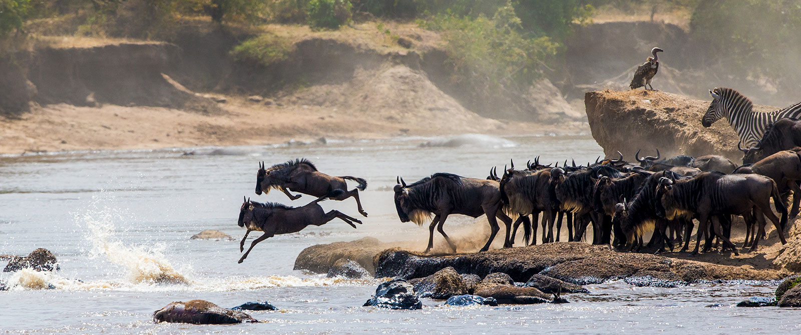 Eight day Great Migration safari in Serengeti National Park Tanzania