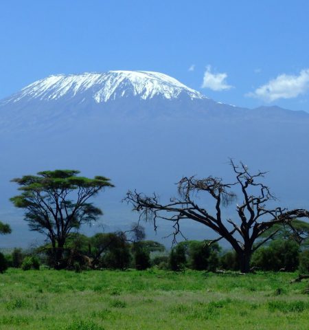 kilimanjaro___